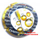 CHAMPAGNE 1229d LOT N°30638