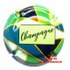 CHAMPAGNE 1345a LOT N°30860