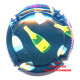 CHAMPAGNE 1353a LOT N°30908