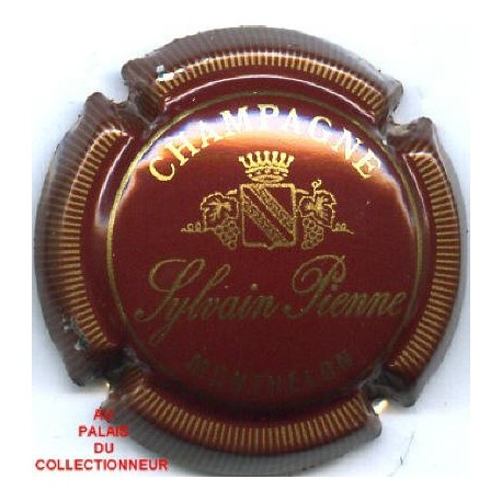 PIENNE SYLVAIN05 LOT N°7345