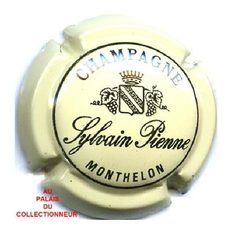 PIENNE SYLVAIN06 LOT N°7346