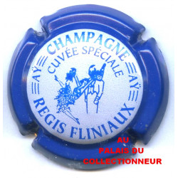 FLINIAUX REGIS 030 LOT N°Z007