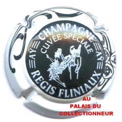 FLINIAUX REGIS 038 LOT N°Z010