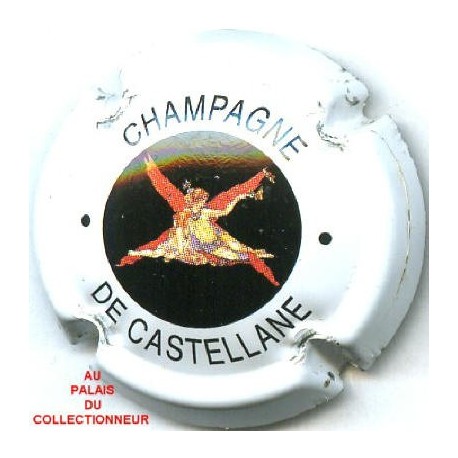 DeCASTELLANE066 LOT N°7641