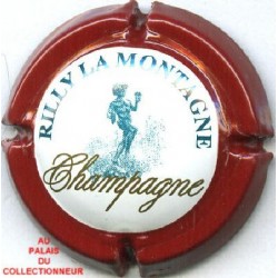 RILLY LA MONTAGNE138 LOT N°7660