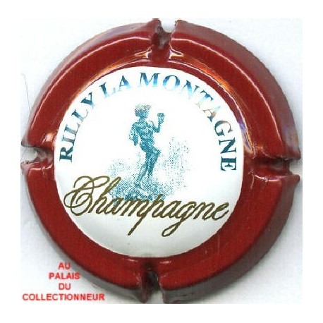 RILLY LA MONTAGNE138 LOT N°7660