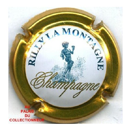RILLY LA MONTAGNE139 LOT N°7662