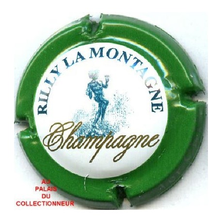 RILLY LA MONTAGNE143 LOT N°7663