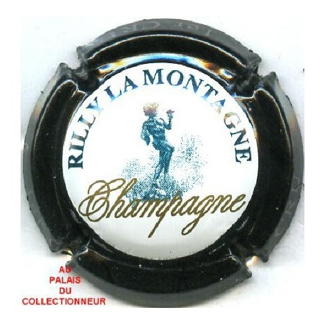 RILLY LA MONTAGNE146 LOT N°7664