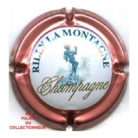 RILLY LA MONTAGNE142 LOT N°7665
