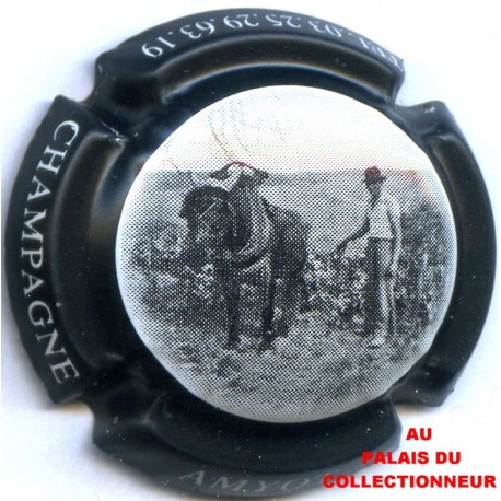 AMYOT 12 LOT N°15605