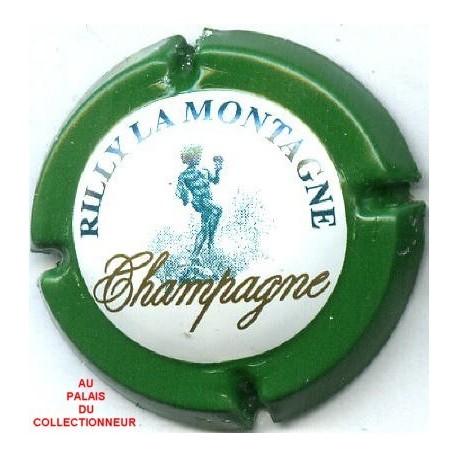 RILLY LA MONTAGNE137 LOT N°7702