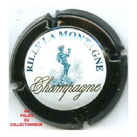RILLY LA MONTAGNE140 LOT N°7703