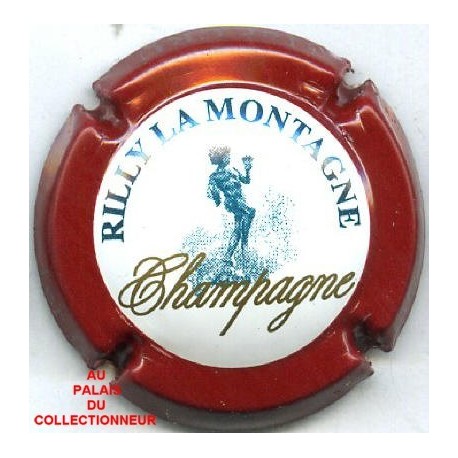 RILLY LA MONTAGNE144 LOT N°7705