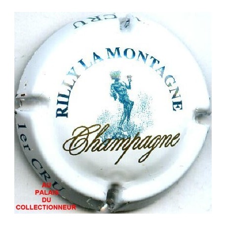 RILLY LA MONTAGNE141 LOT N°7706