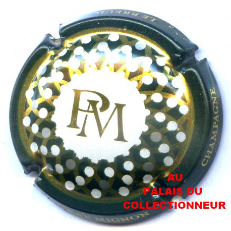 MIGNON PIERRE 219g LOT N°31496