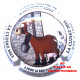 BREUL PATRICK 135g LOT N°25649
