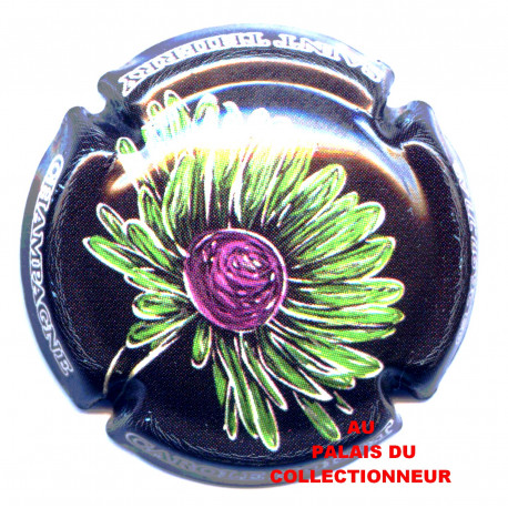NOIZET CAROLE 08c LOT N°25746