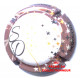 SENDRON DESTOUCHES 26o LOT N°25811