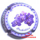 MIGNON PIERRE 118a LOT N°31635