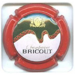 BRICOUT13 LOT N°1099