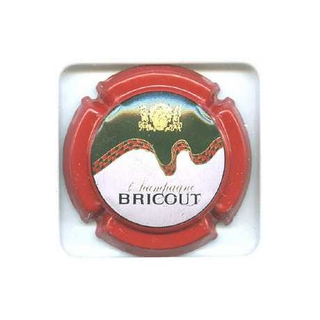 BRICOUT13 LOT N°1099