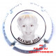 LAUNOIS P.et F. 015 LOT N°6278