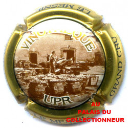 UPR LE MESNIL 02 LOT N°31977