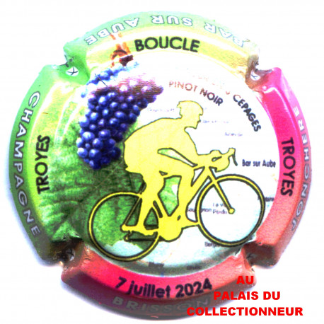 BRISSON JONCHERE 117e LOT N°26600