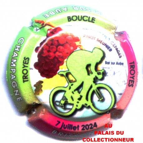 BRISSON JONCHERE 120 LOT N°26601