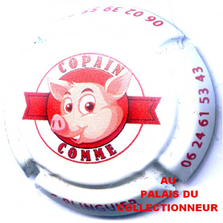 PLINGUIER Christophe 07S LOT N°26284