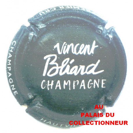 BLIARD VINCENT 31 LOT N°26932