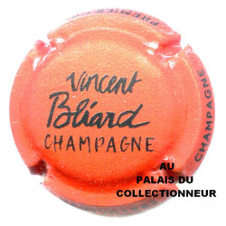 BLIARD VINCENT 31d LOT N°26934