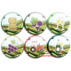 CHAMPAGNE 2174 LOT N°32231