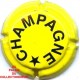 CHAMPAGNE0396f LOT N°8493