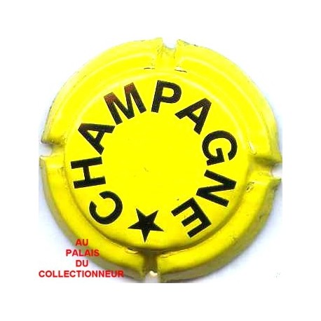 CHAMPAGNE0396f LOT N°8493