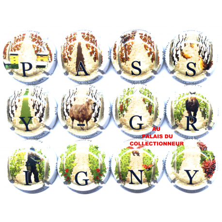 PASSY-GRIGNY 19S LOT N°27180