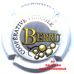 BERRU 01 LOT N°27240