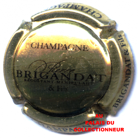 BRIGANDAT PIERRE 10c LOT N°27244