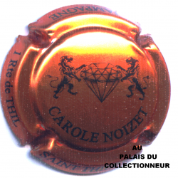 NOIZET CAROLE 04w LOT N°27323