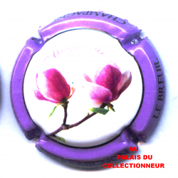 MIGNON PIERRE 155g LOT N°32252