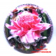 MIGNON PIERRE 208 LOT N°32272