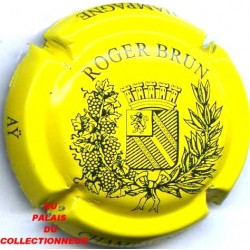 BRUN ROGER 29 LOT N°8673