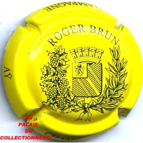 BRUN ROGER 29 LOT N°8673