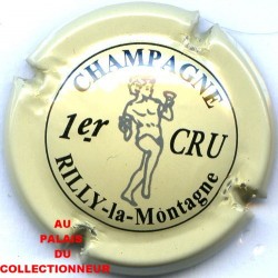 RILLY LA MONTAGNE129 LOT N°9665