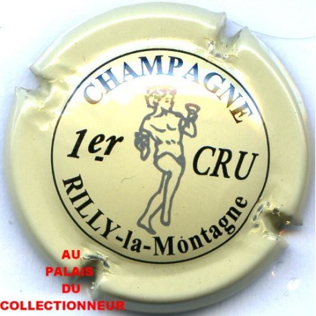 RILLY LA MONTAGNE129 LOT N°9665