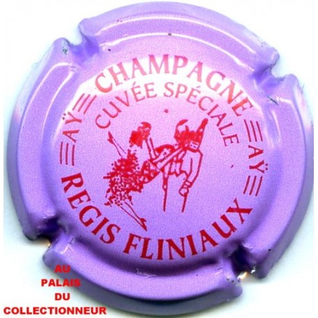 FLINIAUX REGIS41 LOT N°10021