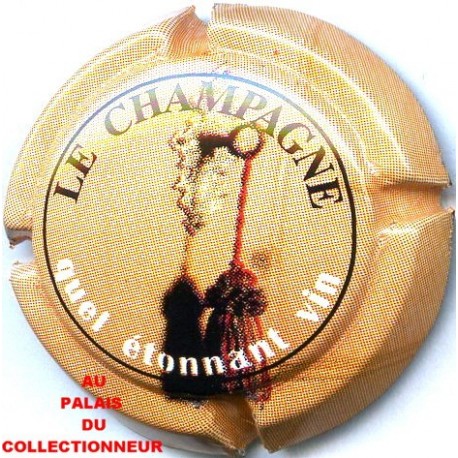 CHAMPAGNE0795 a LOT N°10773