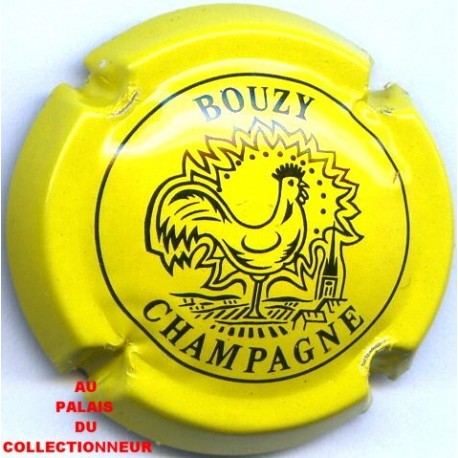 BOUZY20 LOT N°10837